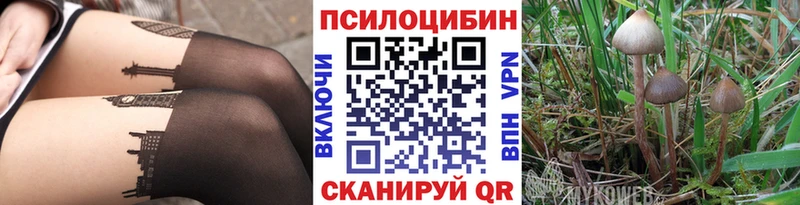 Псилоцибиновые грибы ЛСД  Иркутск 